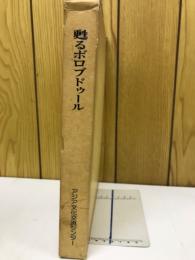 甦るボロブドゥール

