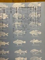 海釣り歳時記　夏から秋へ
