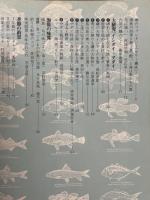海釣り歳時記　春から夏へ　夏から秋へ