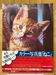 豪華写真集　ねこ