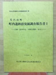 毛呂山町　町内遺跡群発掘調査報告書I　白綾,延命寺北・大類古墳群・まま上