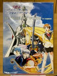 SUNRISE ART WORKS　天空のエスカフローネTVシリーズ