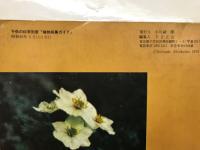 子供の科学　別冊　植物採集ガイド
