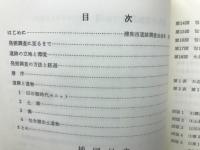 大北遺跡発掘調査報告書