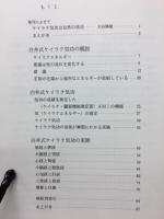 白井式　ケイラク気功　