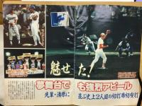 ベースボールアルバムNo.91 立浪和義　