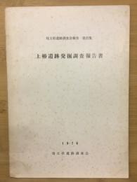 上椿遺跡発掘調査報告書