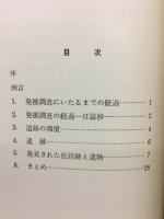 上椿遺跡発掘調査報告書