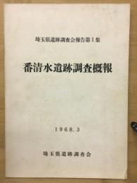 番清水遺跡調査概報