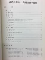 番清水遺跡調査概報