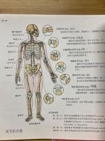 运动解剖学图谱