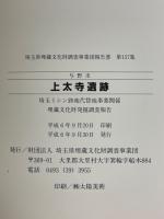 与野市　上太寺遺跡　埼玉ミシン跡地代替地事業関係埋蔵文化財発掘調査報告