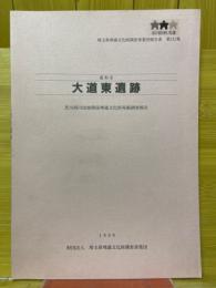 浦和市　大道東遺跡芝川河川改修関係埋蔵文化財発掘調査報告