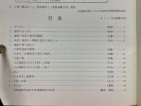 長崎遺跡　静清バイパス(長崎地区)埋蔵文化財発掘調査概報