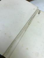 綱要遺伝学