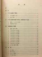 千代田遺跡発掘調査報告書