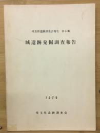 城遺跡発掘調査報告