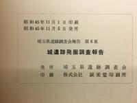城遺跡発掘調査報告