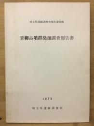 青柳古墳群発掘調査報告書