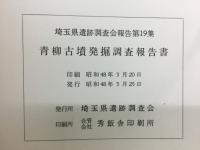 青柳古墳群発掘調査報告書