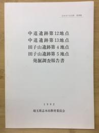 中道遺跡第12地点・中道遺跡第13地点・田子山遺跡第4地点・田子山遺跡第5地点発掘調査報告書