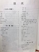文化式　新しい洋裁　