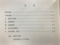 斎宮跡発掘資料選