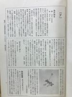 現代医学大辞典　第18巻　耳鼻咽喉科学篇　