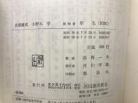 数学的な見方考え方