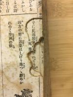 萬民重寳　永暦大雑書大成