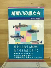 相模川の魚たち