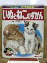 いぬとねこのずかん　新編ディズニー幼稚園図鑑