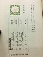 太陽黒点