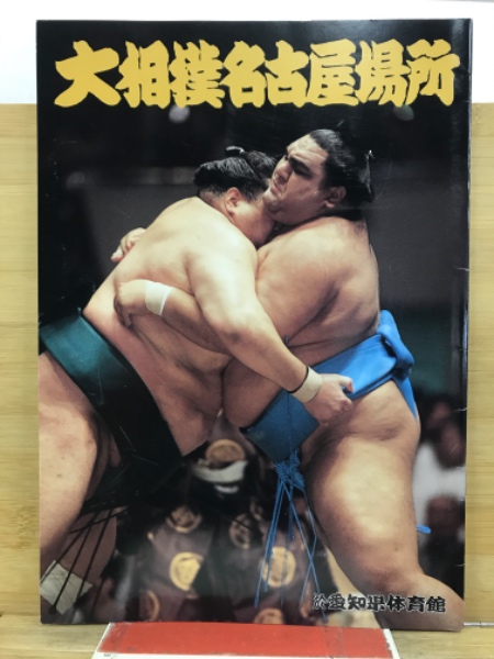 古城の秘密(城昌幸 著 ; 嶺田弘 絵) / 古本倶楽部株式会社