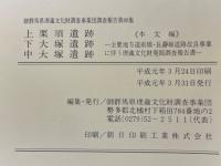 上栗須遺跡　下大塚遺跡　中大塚遺跡　主要地方道前橋・長瀞線道路改良事業に伴う埋蔵文化財発掘調査報告書