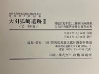 天引狐崎遺跡　関越自動車道(上越線)地域埋蔵文化財発掘調査報告書第39集