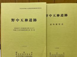 野中天神遺跡　一般国道50号(東前橋拡幅)改築工事に伴う埋蔵文化財発掘調査報告書第4集