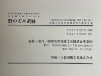 野中天神遺跡　一般国道50号(東前橋拡幅)改築工事に伴う埋蔵文化財発掘調査報告書第4集