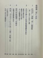 戦闘機　隼　不滅なり・大空の狙撃兵