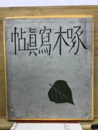 啄木寫眞帖