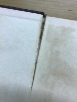 輓近動物分類学