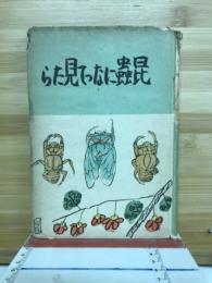 昆虫になって見たら