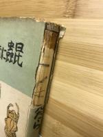 昆虫になって見たら