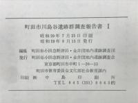 町田市川島谷遺跡群調查報告書 Ⅰ・Ⅱ