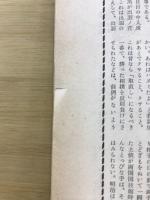 大相撲春場所　初場所総決算