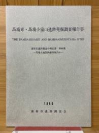 馬場東・馬場小室山遺跡発掘調査報告書　馬場土地区画整理地内遺跡6