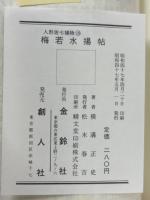 人形佐七捕物文庫　10　梅若水揚帳　他9編