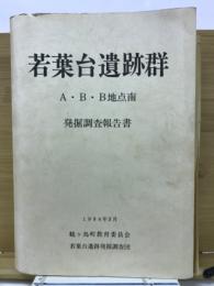 若葉台遺跡群A・B・B地点南発掘調査報告書