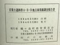若葉台遺跡群A・B・B地点南発掘調査報告書