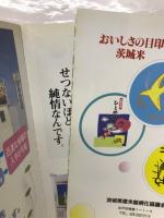 米品種大全